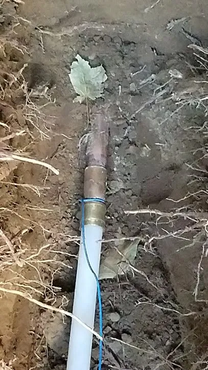 Slide of Terry Massey Plumbing