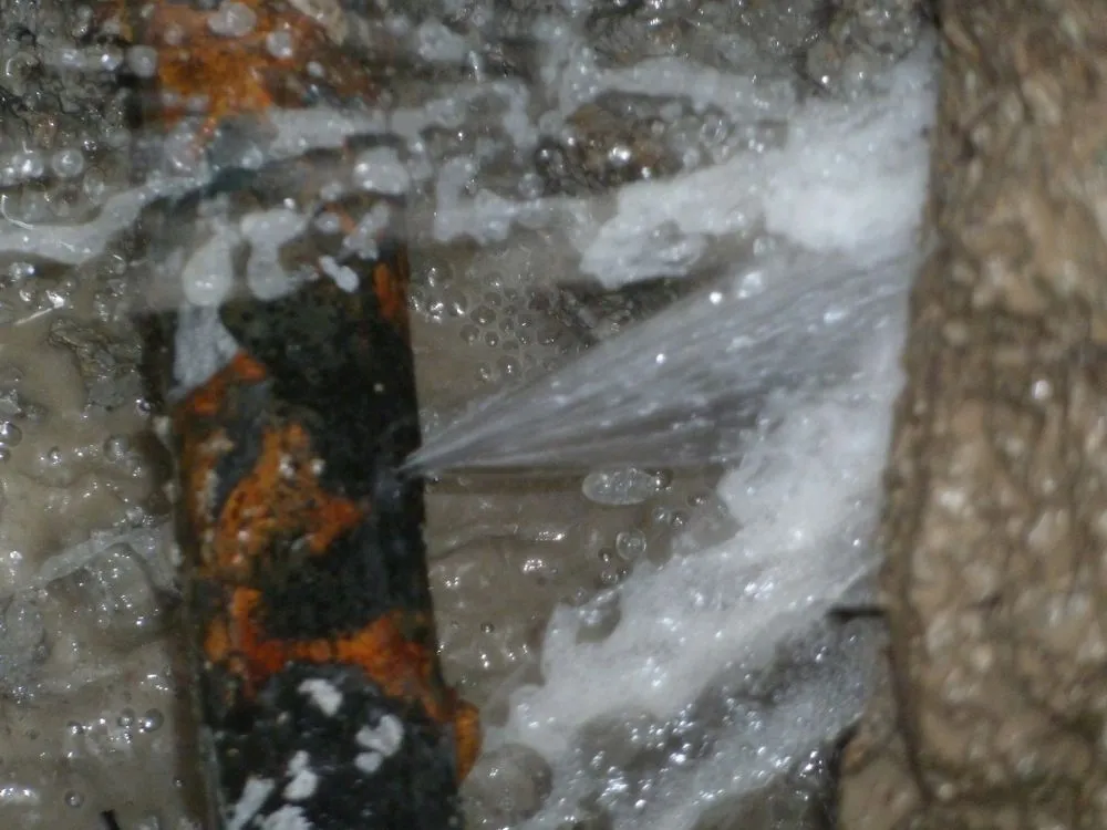 Slide of Terry's Plumbing