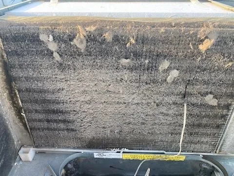 Quality pipe repair service in Galveston, TX - Tex Pro RV & Home Maintenance Services