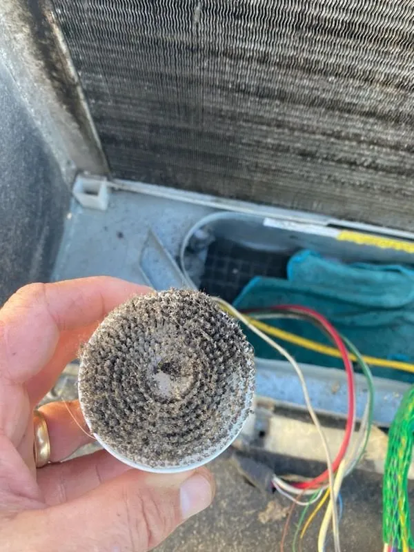 Quality pipe repair for homes in Galveston, TX by Tex Pro RV & Home Maintenance Services