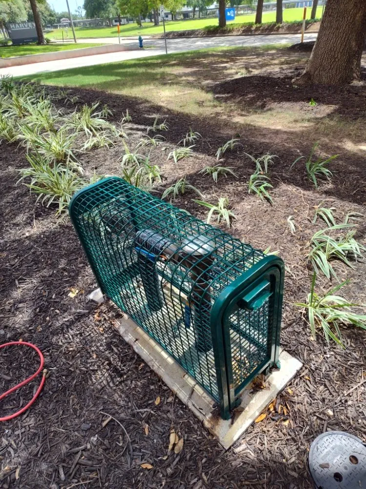 Slide of Texas Backflow Testing & Repairs