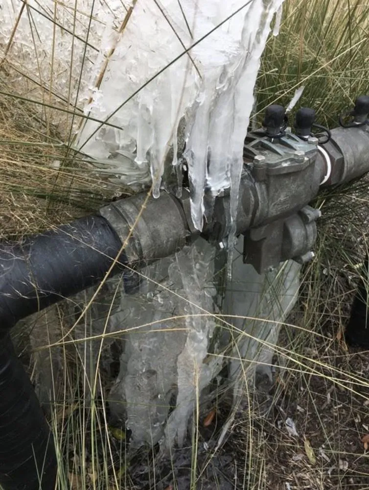 Slide of Texas Backflows