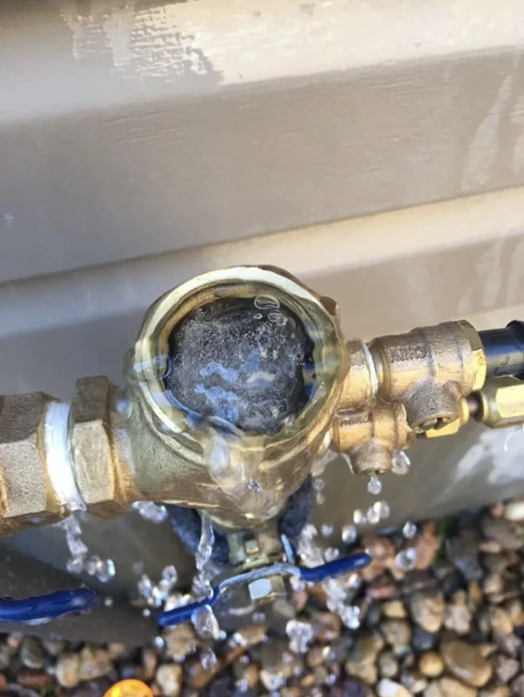 Slide of Texas Backflows