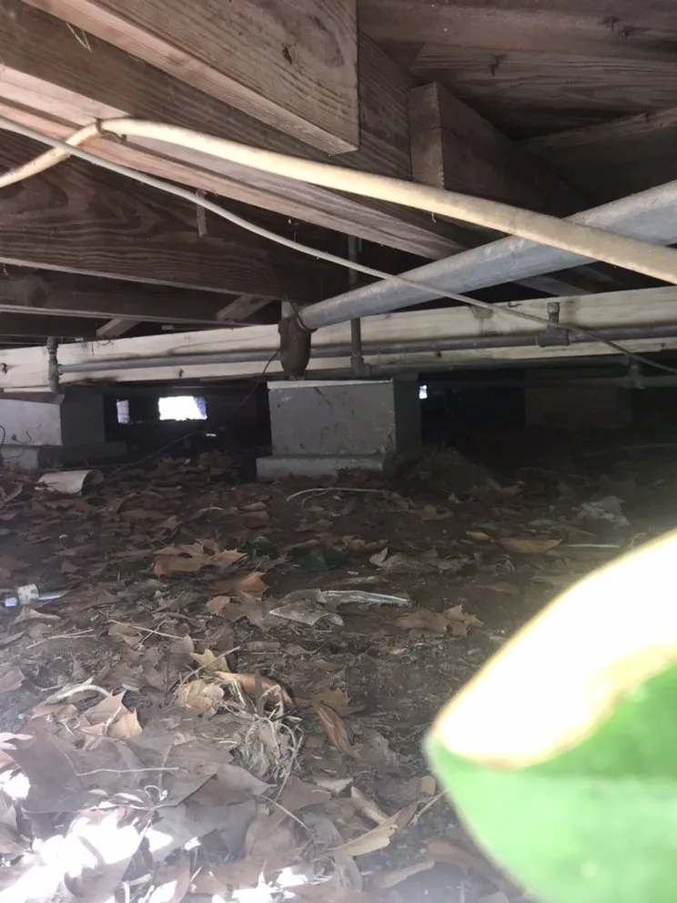 Slide of Texas Foundation Repair