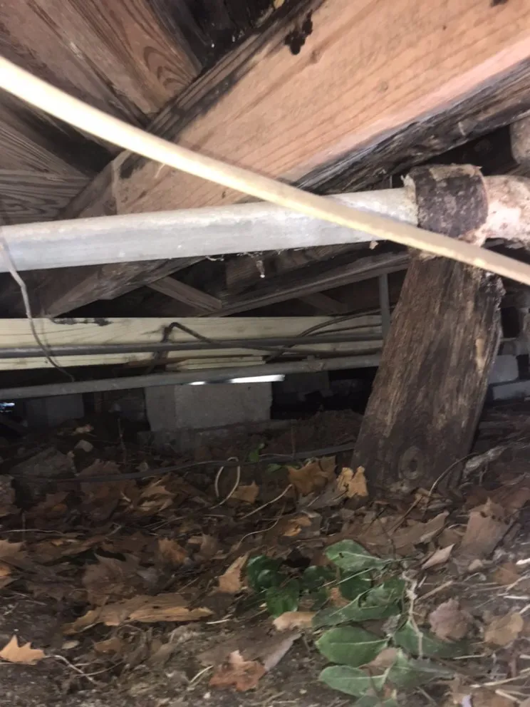 Slide of Texas Foundation Repair