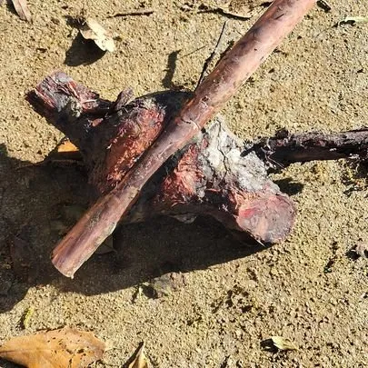 Quality drain cleaning service in Houston, TX - Texas James Plumbing