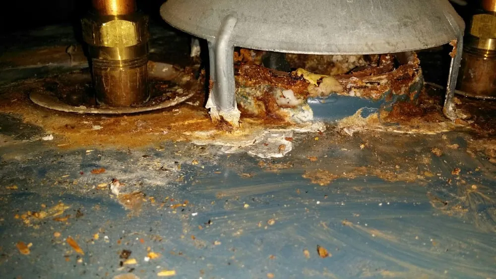 Affordable leak detection service in League City, TX - Texas Master Plumber