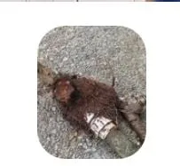 Slide of Texas Plumbing