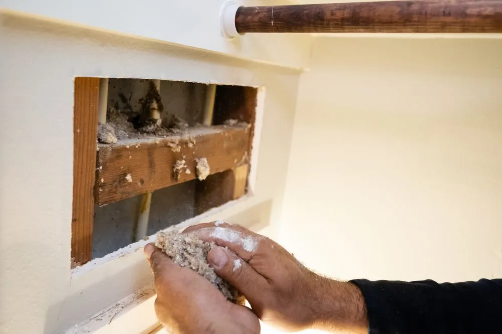 Affordable leak detection service in Houston, TX - Texas Premier Plumbing