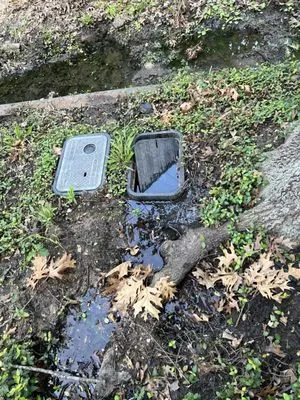 Texas Premier Plumbing Logo