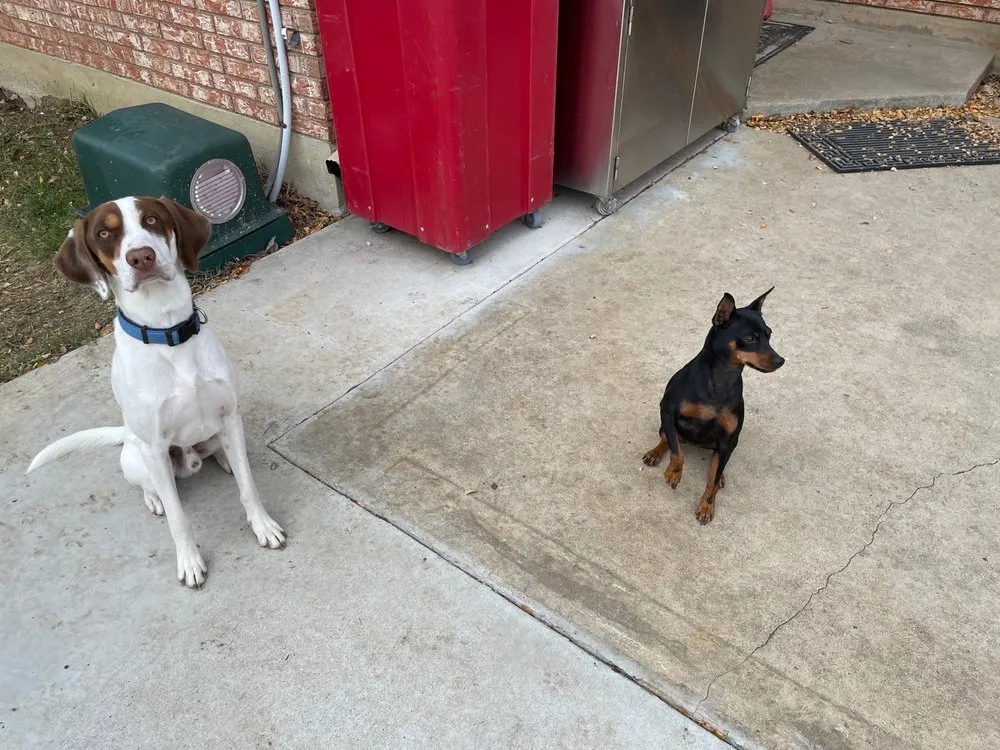 Slide of Texas Star Aerobic