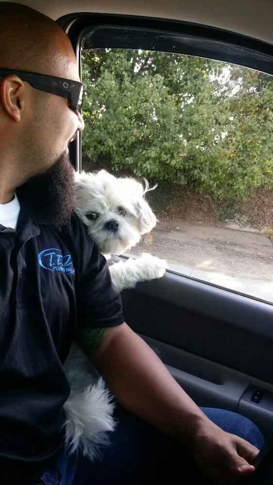 Slide of T.E.Z. Plumbing