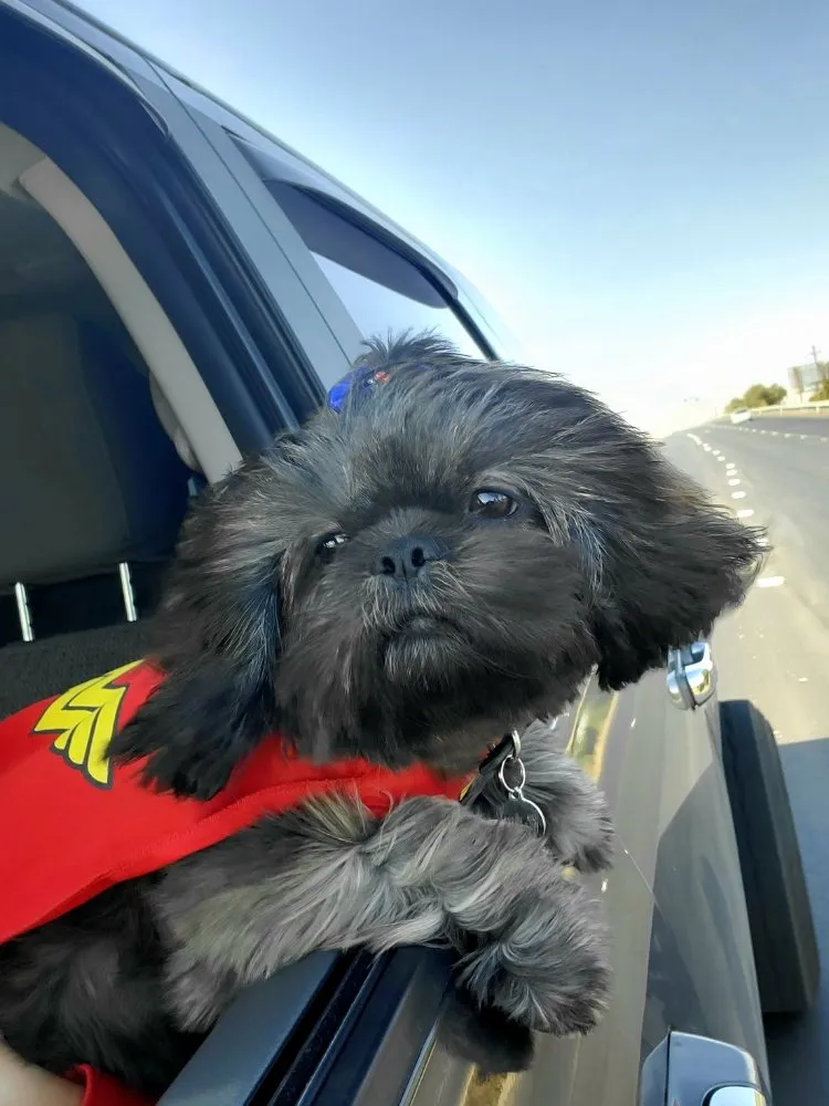 Slide of T.E.Z. Plumbing