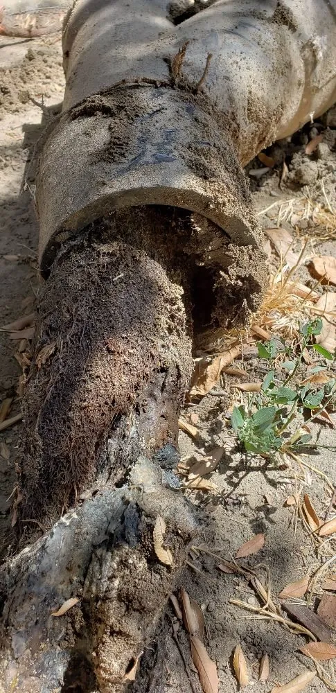 Slide of T.E.Z. Plumbing