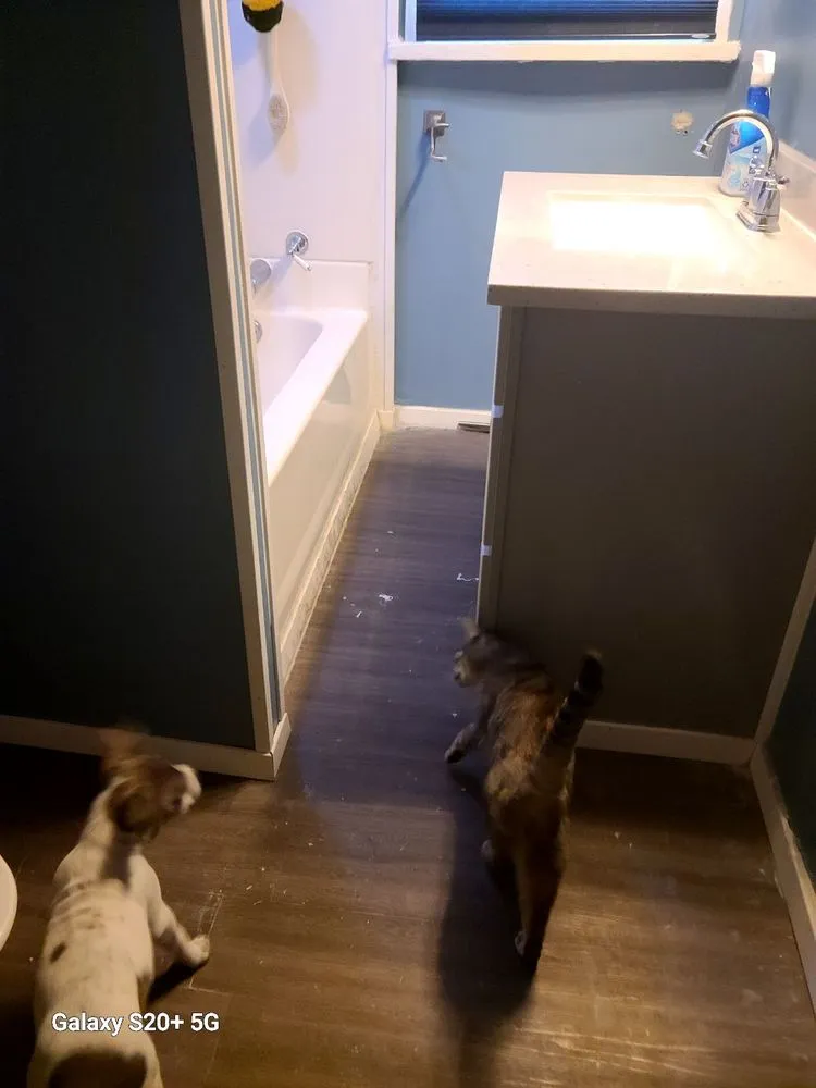 Slide of That Guy Via Home Maintenance And Remodeling