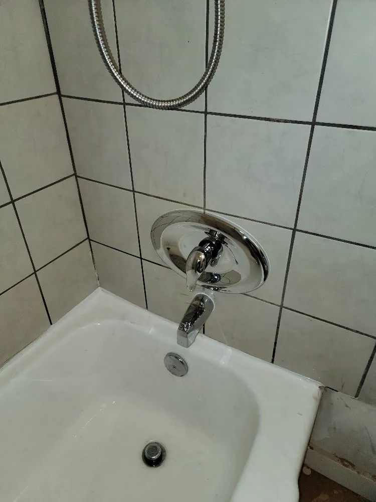 Quality leak detection service in Chino Hills, CA - That one plumber guy