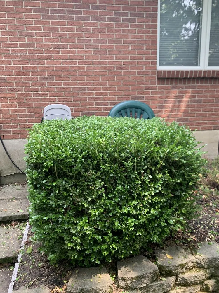 Slide of The 3 Rule Handyman