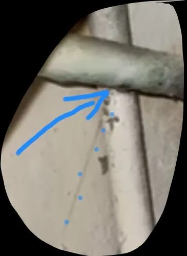 Slide of The Amazing Plumber