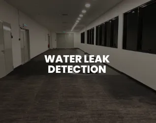 Slide of The Amazing Plumber