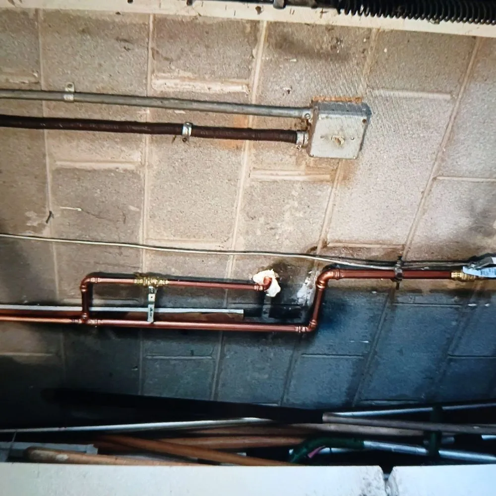 Professional leak detection experts serving Bumpus Mills, TN - The american dream plumbing