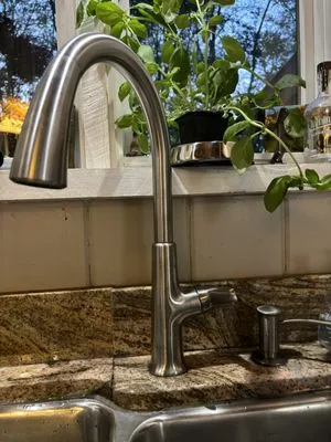 The american dream plumbing