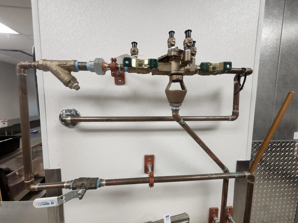 Slide of The Backflow Babe
