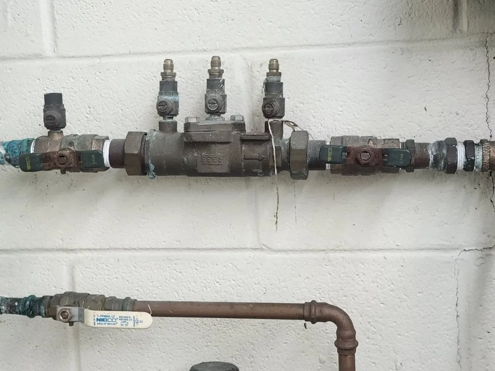 Slide of The Backflow Babe