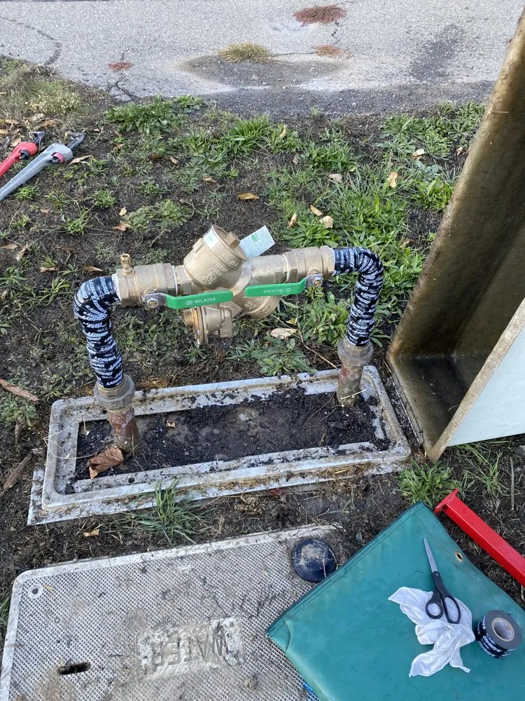 Slide of The Backflow Guy