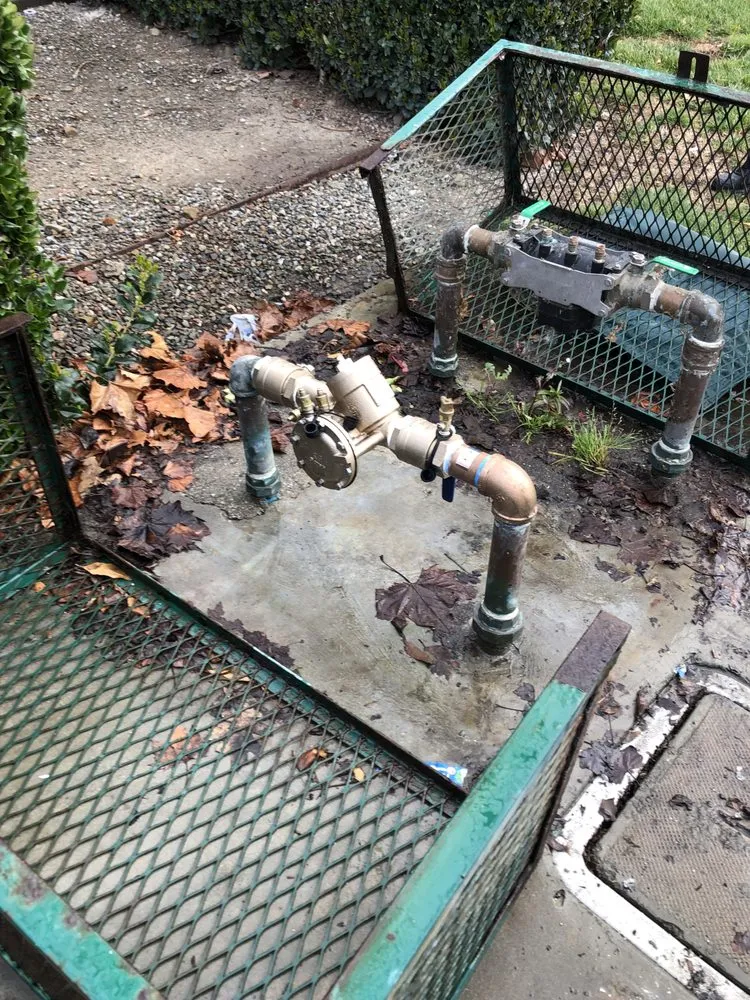 Slide of The Backflow Guy