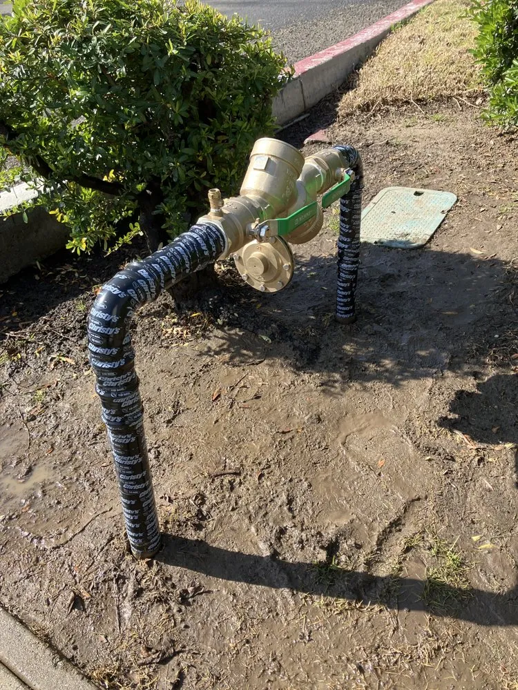 Slide of The Backflow Guy