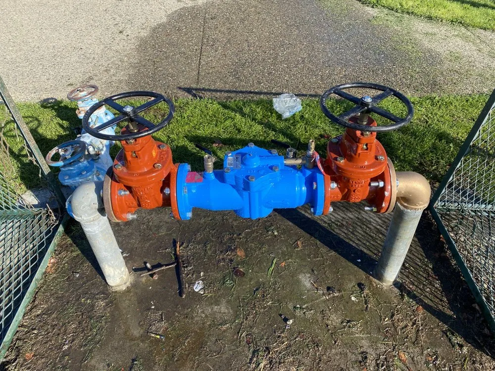 Slide of The Backflow Guy