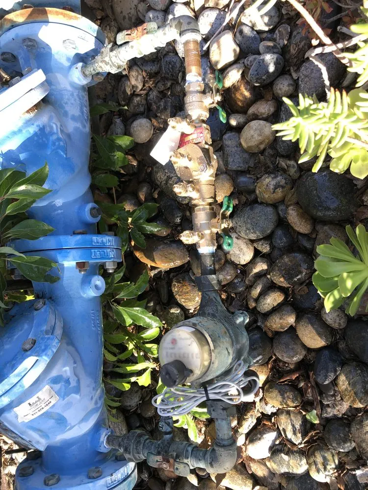 Slide of The Backflow Guy