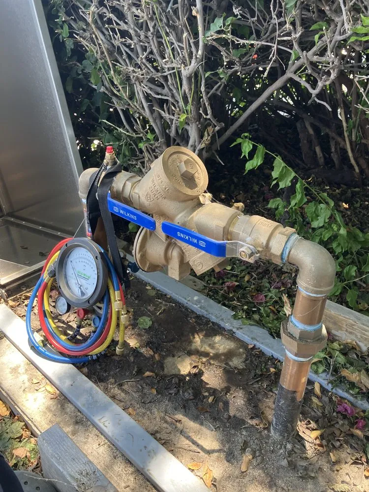 Slide of The Backflow Guy