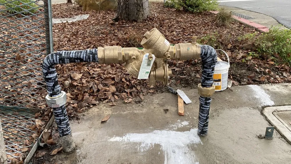 Slide of The Backflow Guy