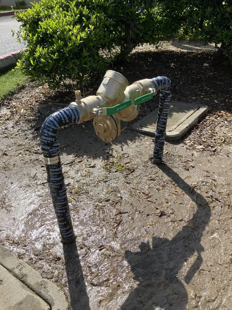 Slide of The Backflow Guy