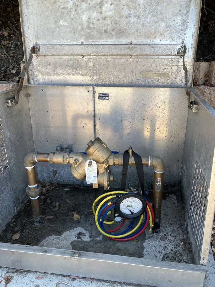 Slide of The Backflow Guy