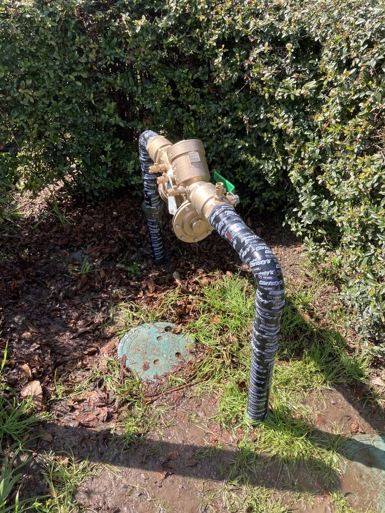 Slide of The Backflow Guy