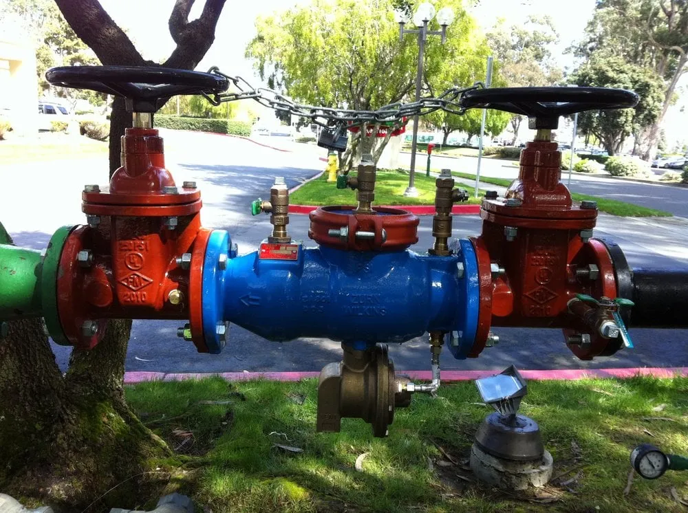 Slide of The Backflow Pro
