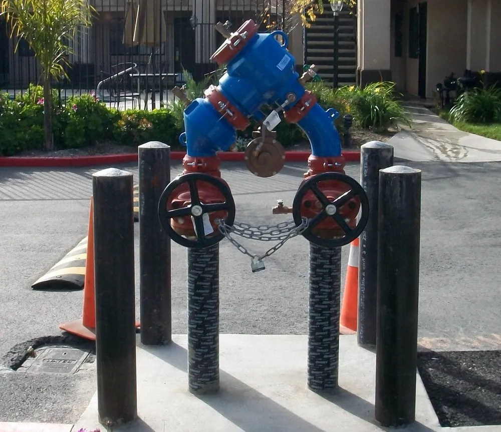 Slide of The Backflow Pro