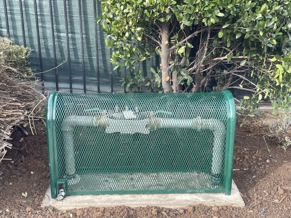 Slide of The Backflow Service