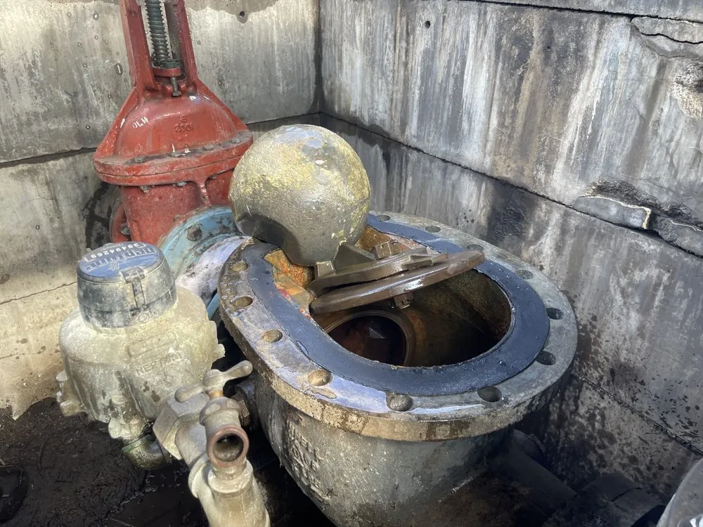 Slide of The Backflow Service