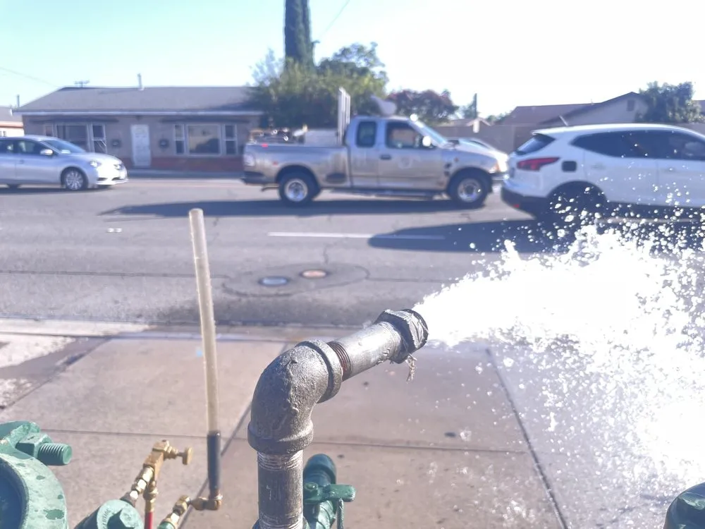 Slide of The Backflow Service