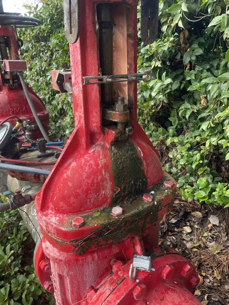 Slide of The Backflow Service