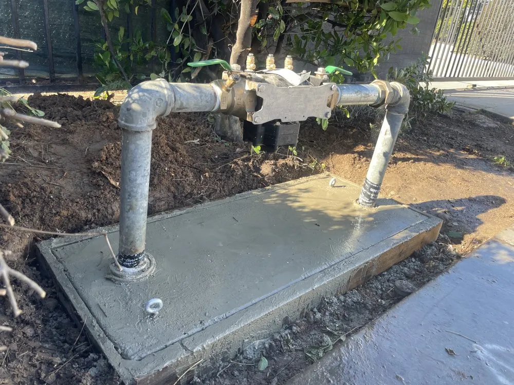 Slide of The Backflow Service