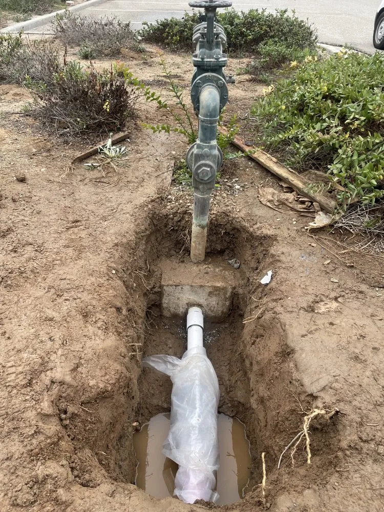 Slide of The Backflow Service