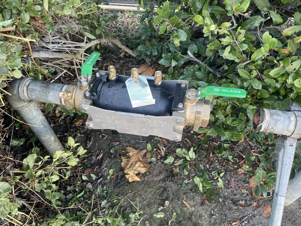 Slide of The Backflow Service