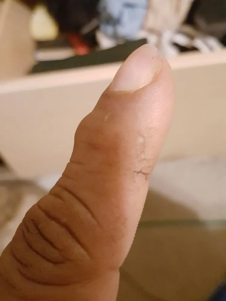 Slide of The Better Tradesman