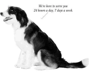 Slide of The Bosworth Company