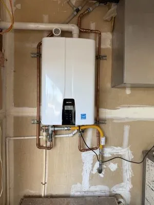 The Boys Plumbing Logo