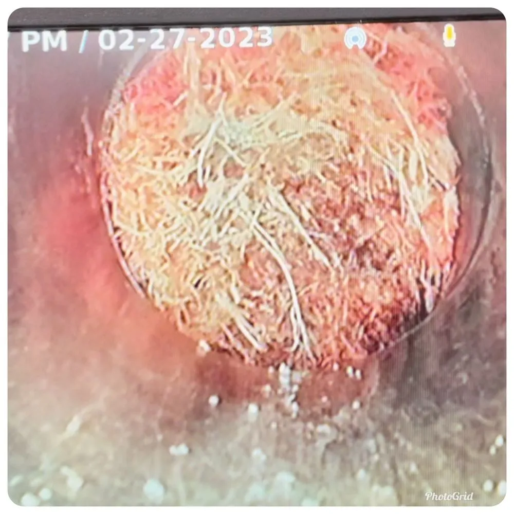 Slide of The Canyon City Plumber